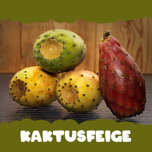 Kaktusfeige