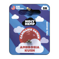 Holy Hemp - Ambrosia Kush (5x)