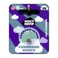 Holy Hemp - Forbidden Runtz (5x)