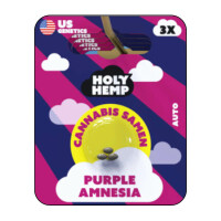 Holy Hemp - Purple Amnesia (5x)