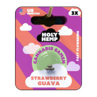 Holy Hemp - Strawberry Guava (5x)