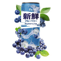 Fresh Drink - Blueberry Ice 330ml  inklusive Pfand