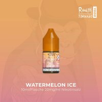 RandM -Liquid Watermelon Ice (10x)